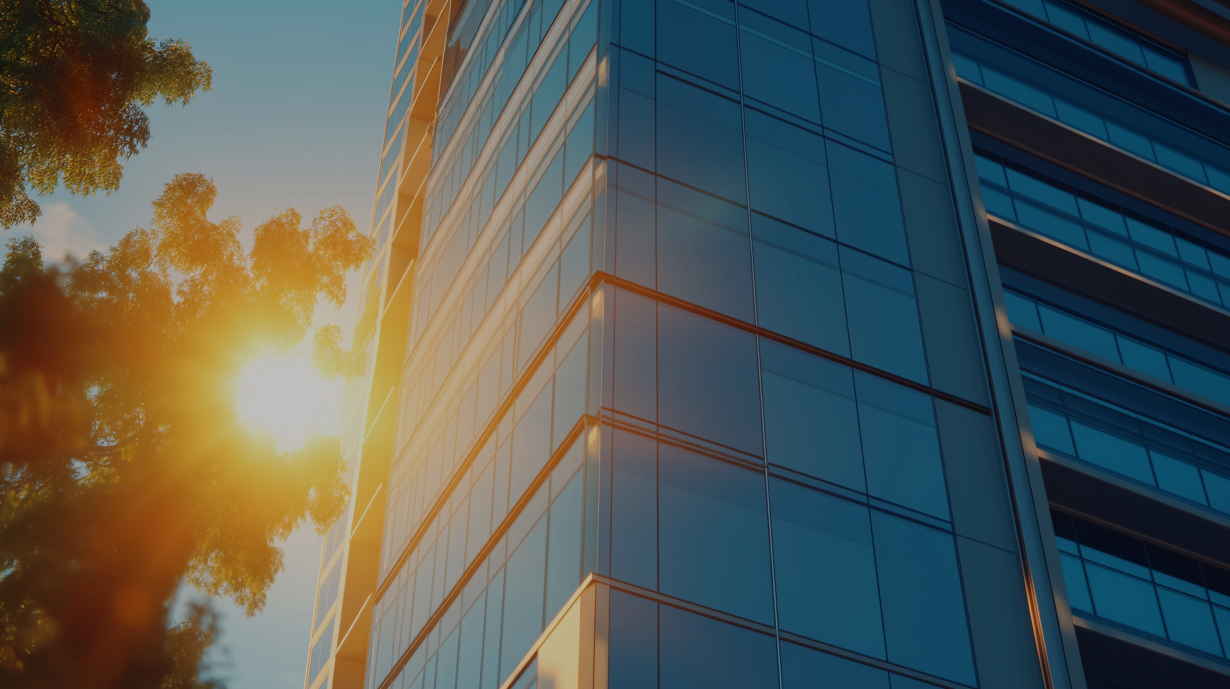 Prédio empresarial com fachada de vidro ao entardecer próximo a árvores